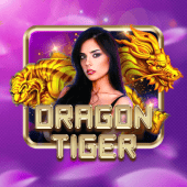 Dragon Tiger live casino on Casino Game App